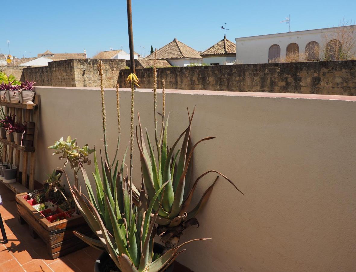 Apartamento En Juderia La Murallita Córdoba Eksteriør bilde